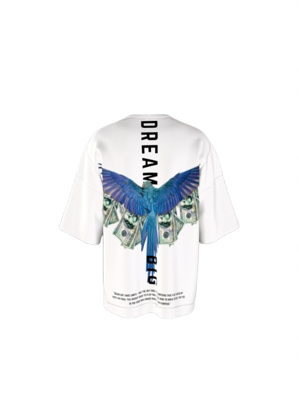DREAM BIG Oversized t-shirt